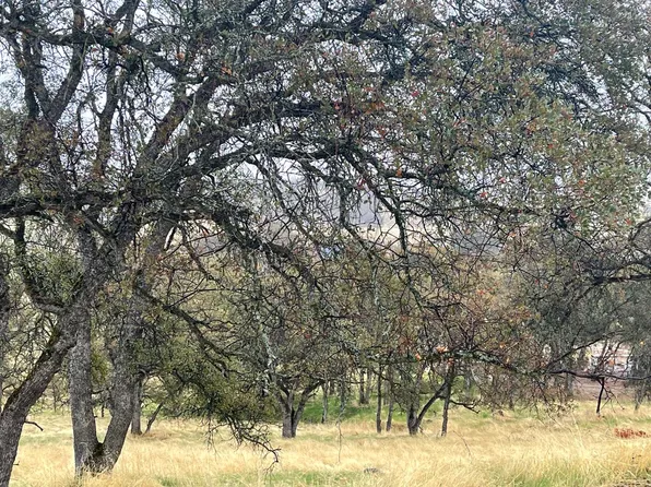 9520 Mercado Dr, La Grange, CA 95329