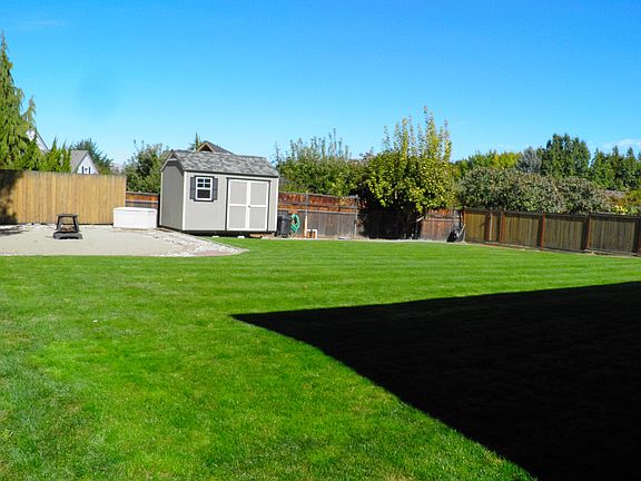 backyard/SW corner
