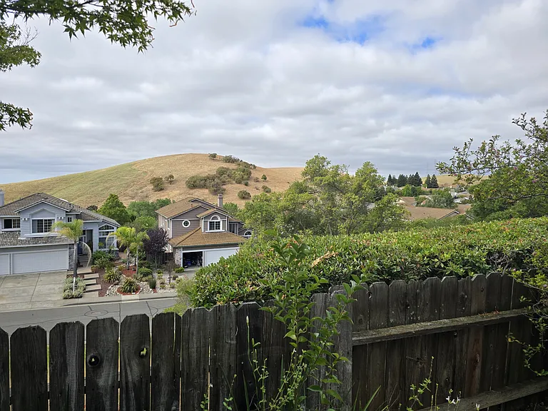 3121 Sonoma Valley Dr — Photo 18