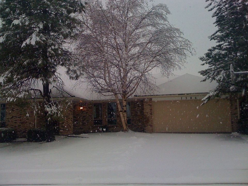 The first snow at Freckles