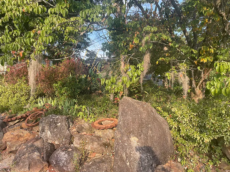 White Cir — Photo 22
