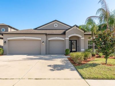 11407 Acacia Grove Ln, Riverview, FL, 33579