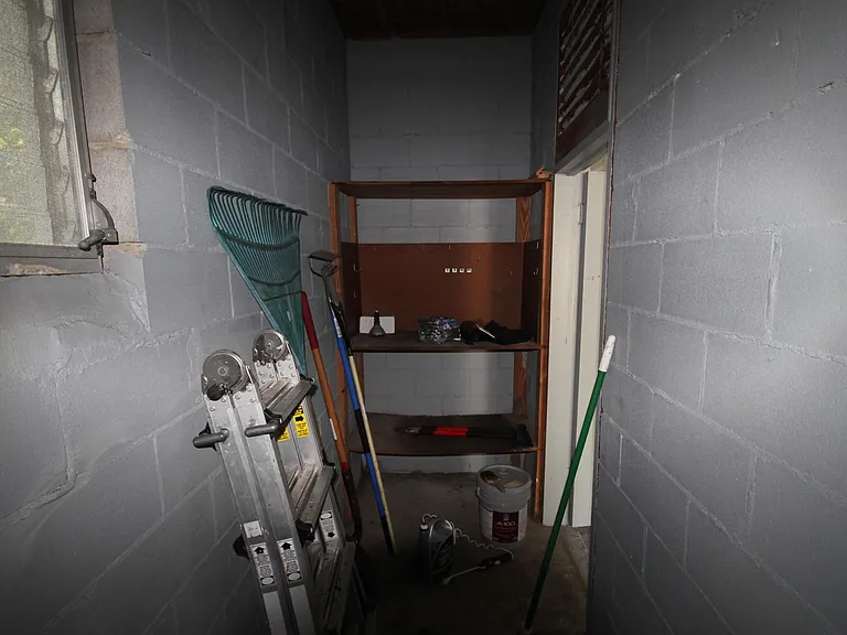 Main Garage Storage Closet