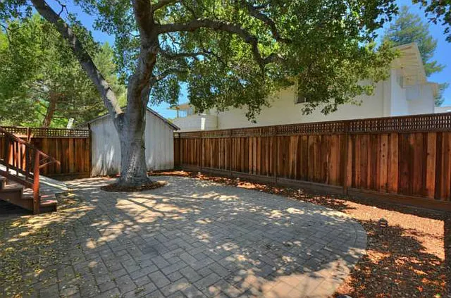 Backyard with large shady tree