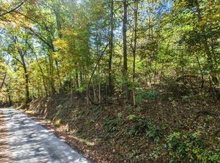 Dry Branch Rd LOT 0, Pembroke, VA 24136