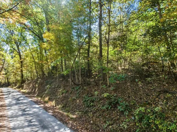 Dry Branch Rd Lot 0, Pembroke, VA 24136