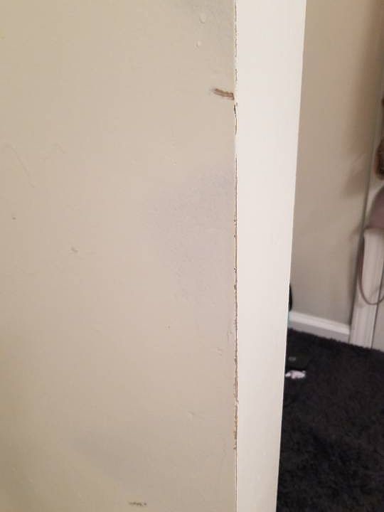 2nd image of 115 Timbers Dr