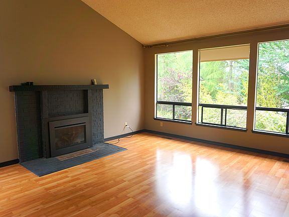 gas fireplace insert