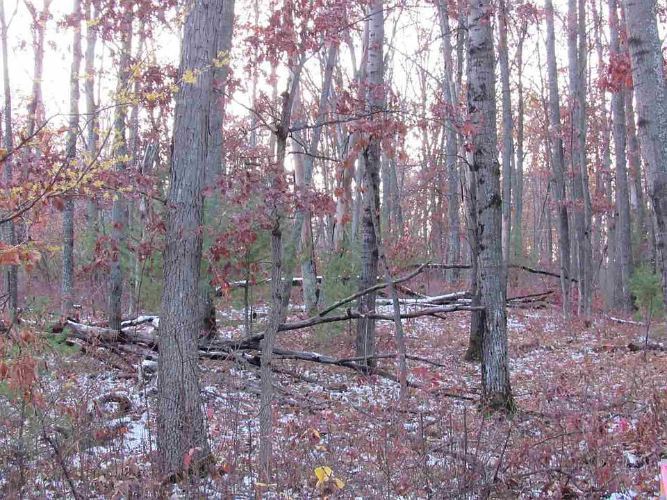 1st image of Xxx W Higgins Lake Dr