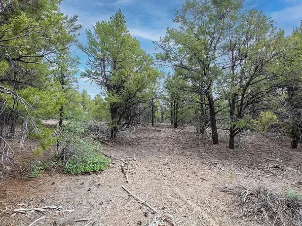 1430 W Mule Deer Rd E, Hatch, UT 84735