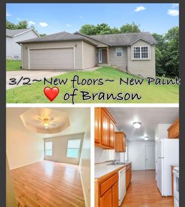 88 Bull Run Road, Branson, MO, 65616