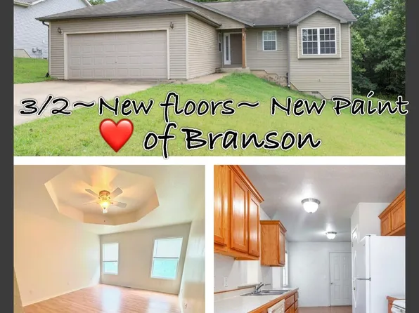 88 Bull Run Road, Branson, MO 65616