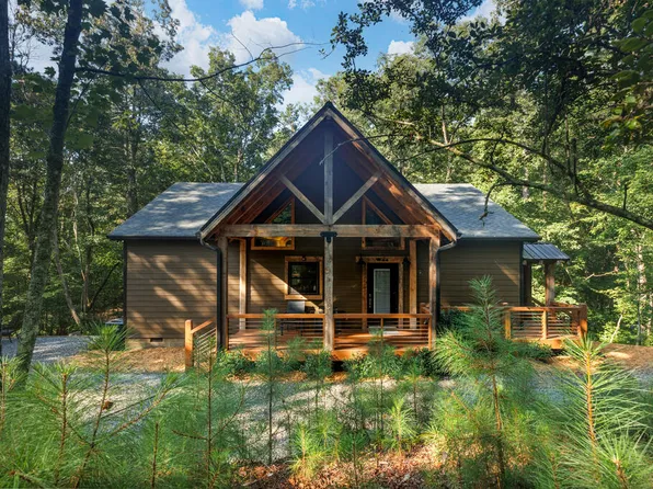 154 Nexus Ct, Ellijay, GA 30540