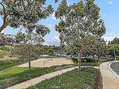 29415 Ana Maria Ln — Photo 6