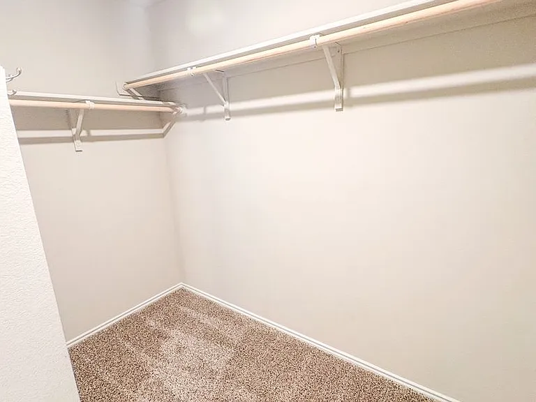 6401 Coneflower Dr — Photo 14