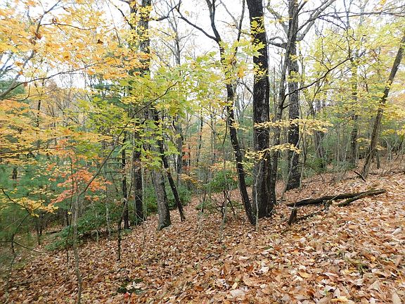 4th image of C11-C12 Little Ridge Trl