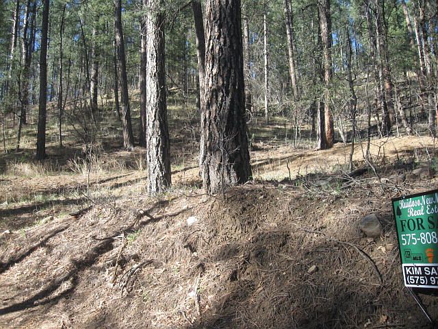 2nd image of 155 Brady Canyon Rd
