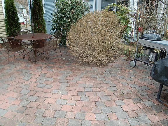 3rd image of 4706 Alabama Ave