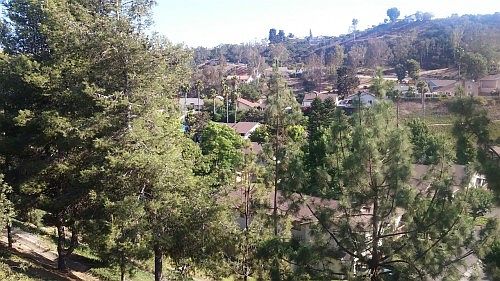 4th image of 8232 Royal Gorge Dr