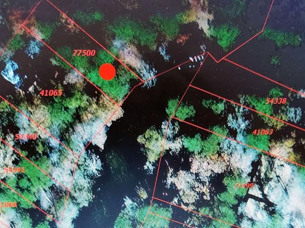 0 Sunset Dr, Livingston, TX 77351