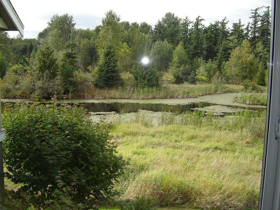 westerly view of pond