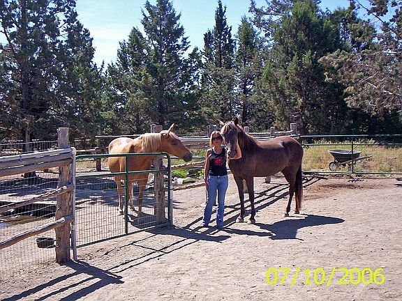 Friends in Corrals/Creek