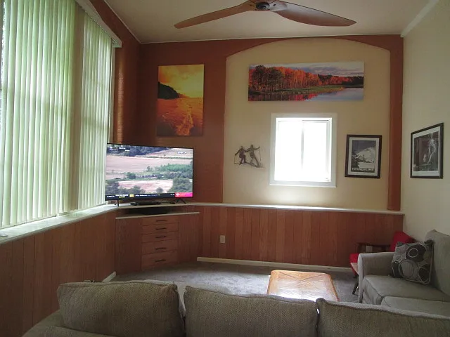 living with smart TV and DVD player