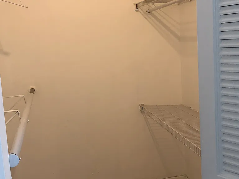 Master bathroom walk-in closet