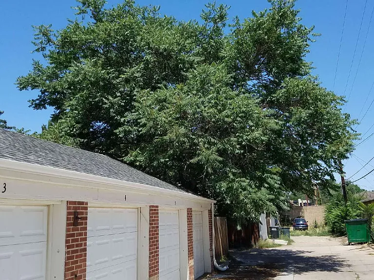 1408 N Jersey St — Photo 36