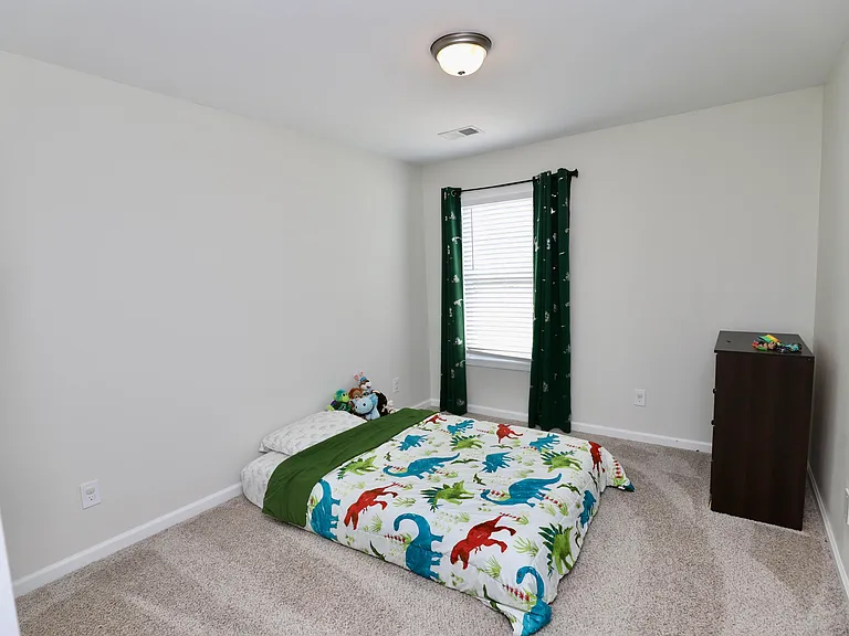 17 Carriagebrook Cir — Photo 44