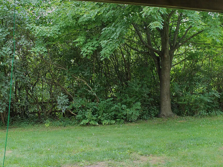 151 Clairfields Dr E #41 — Photo 20