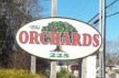 The Orchards