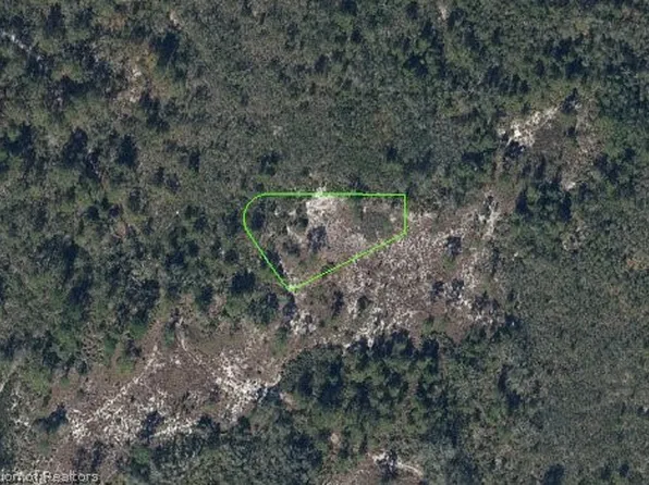 307 Young Love Ln, Lake Placid, FL 33852