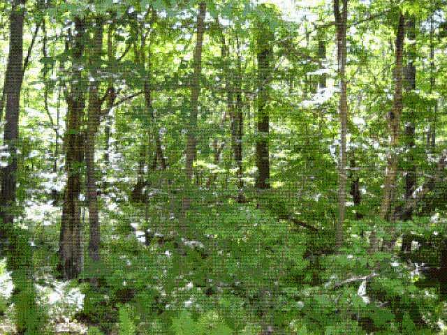 2nd image of On Lake Winter Rd