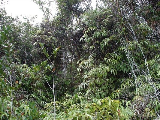 1st image of Kauai St Lot 12
