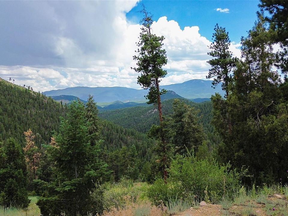 64 Zip Lane, Bailey, CO 80421 | Zillow