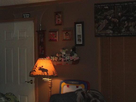 Entrance/Living room