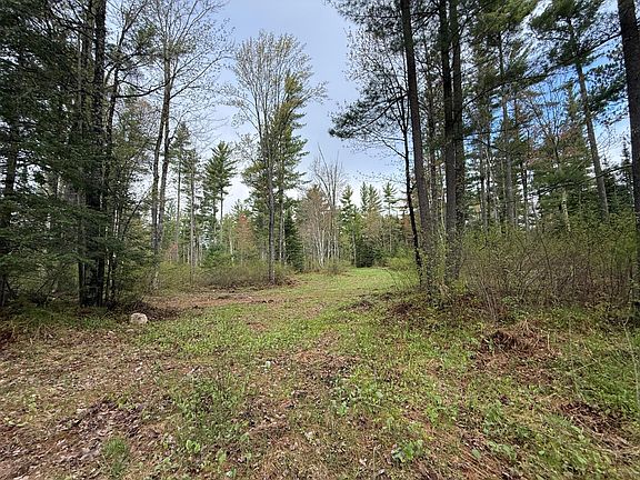 3rd image of On Bearskull Rd