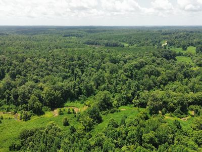 Ascalmore Creek Rd, Cascilla, MS, 38920