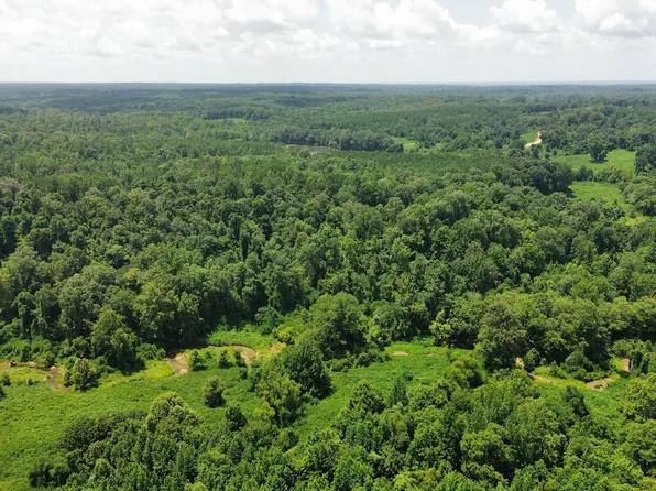 Ascalmore Creek Rd, Cascilla, MS 38920