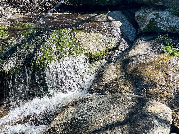 5th image of 44981 Todd Eymann Road