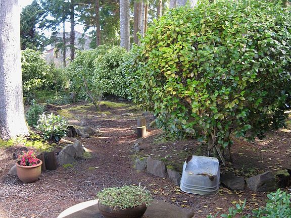 Back Patio