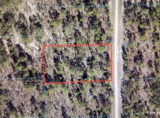 0 SW 138th Ter #14, Dunnellon, FL 34432