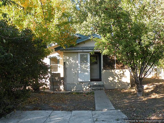 back yard-apple & pear trees