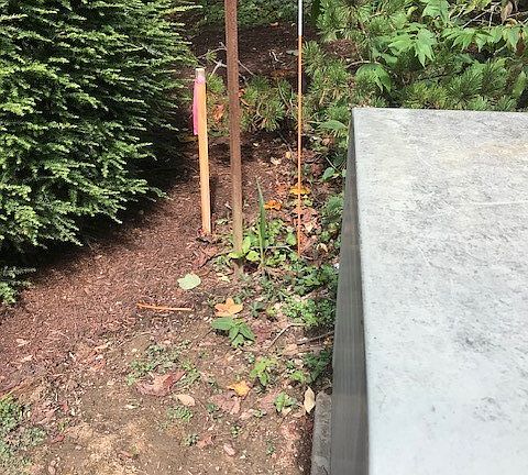 5th image of 113 Nicola Ln