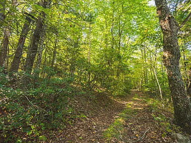 Property photo 43