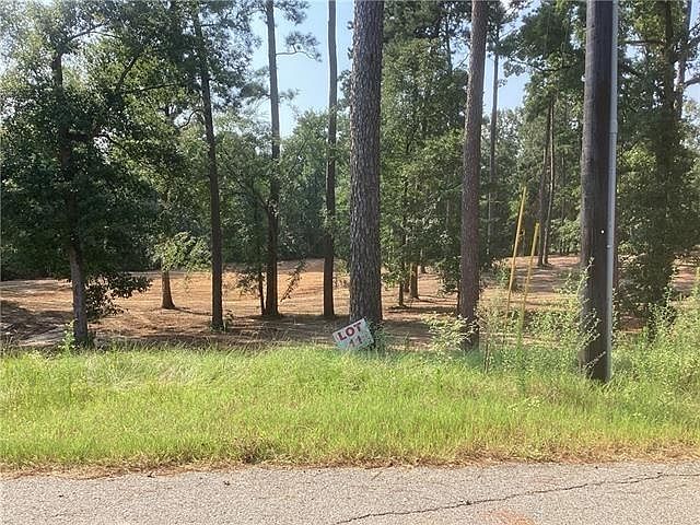1st image of Amelia Ln Lot 11