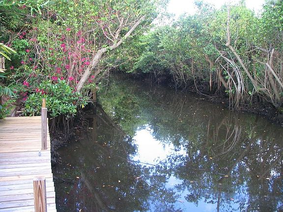 Jones creek - ocean access