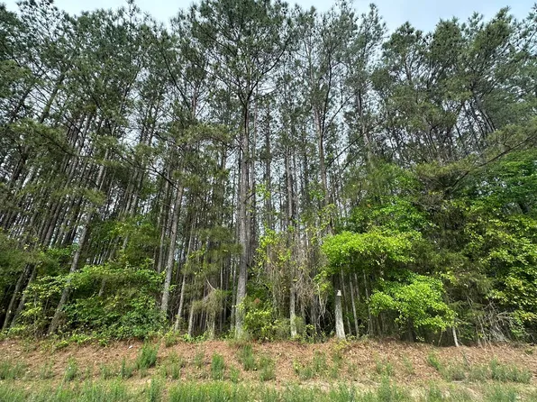 163 BOLTON Road, Tignall, GA 30668