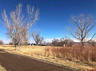 59215 Spring Creek Rd, Montrose, CO 81403